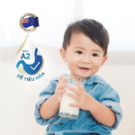 Enfa A2 đồng hành cùng mẹ giúp bé hấp thu tốt hơn